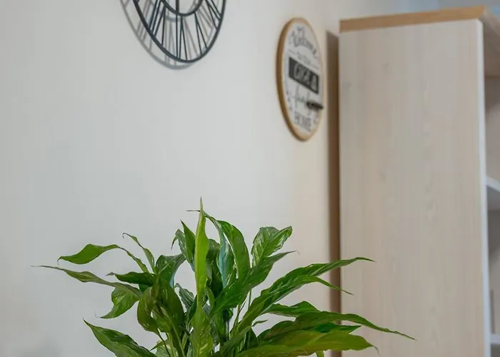 Appartement Vip Wieniawskiego *