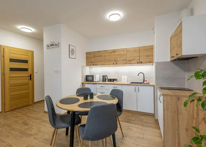 Vip Wieniawskiego Appartement